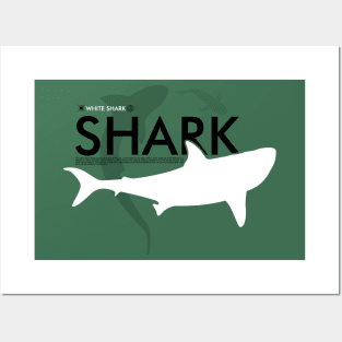 white shark Posters and Art